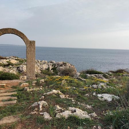 Grupoandria Villa Julia Cala'n Forcat Luaran gambar