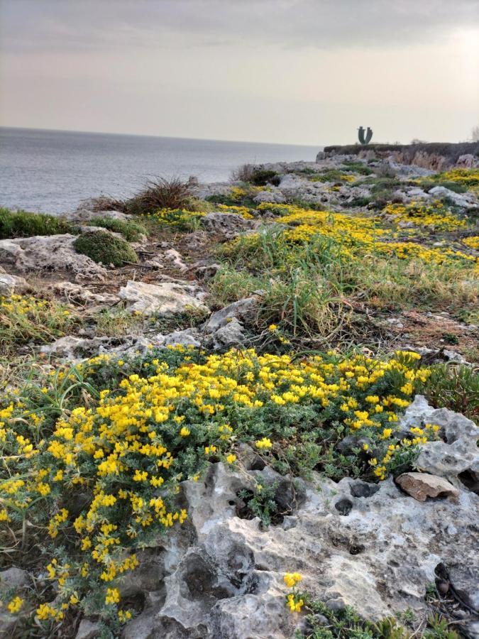 Grupoandria Villa Julia Cala'n Forcat Luaran gambar
